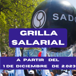 Lee más sobre el artículo Grilla Salarial Docentes Nivel Primario Diciembre 2023